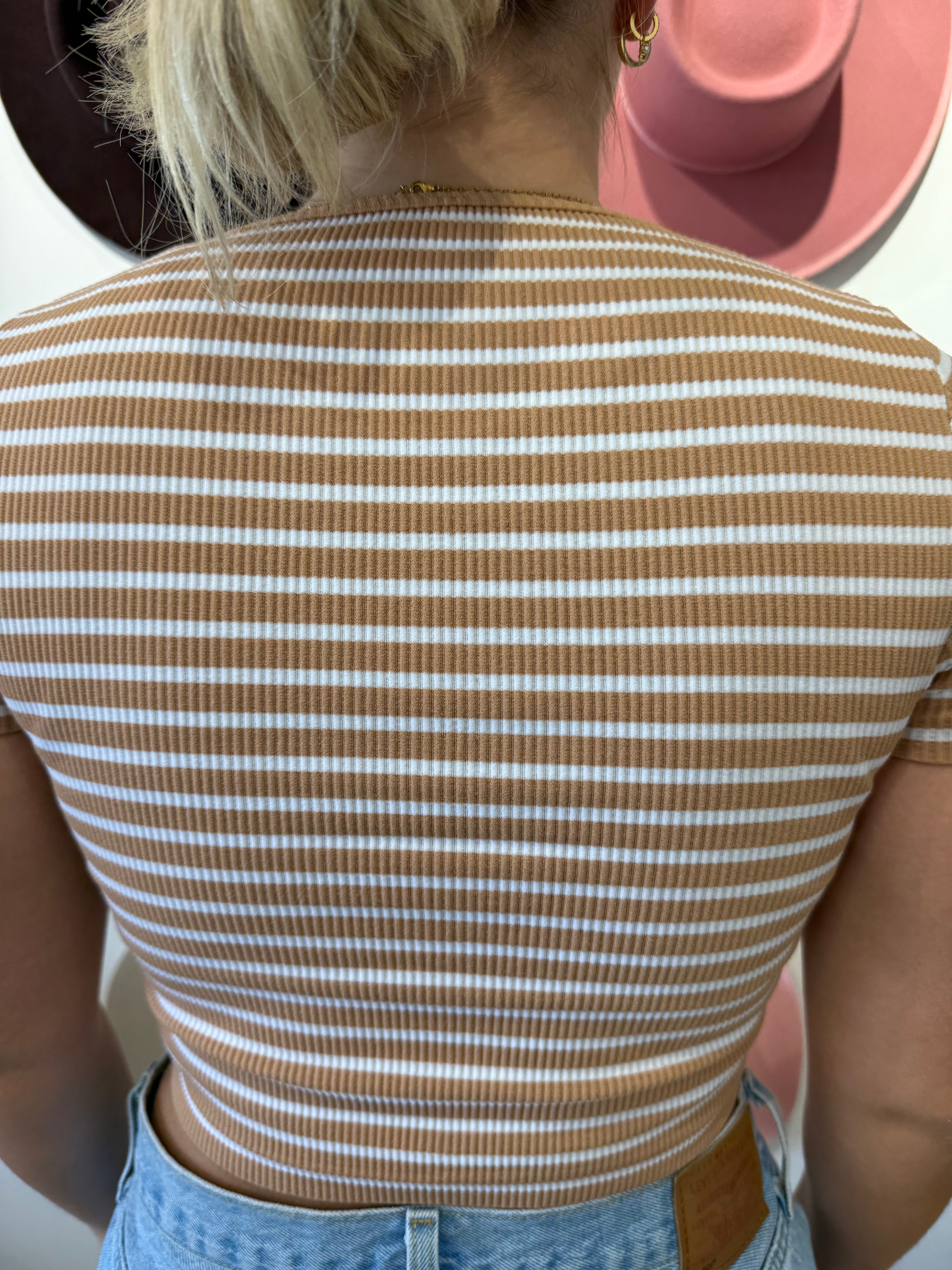Sagebrush Stripes Cropped Tee
