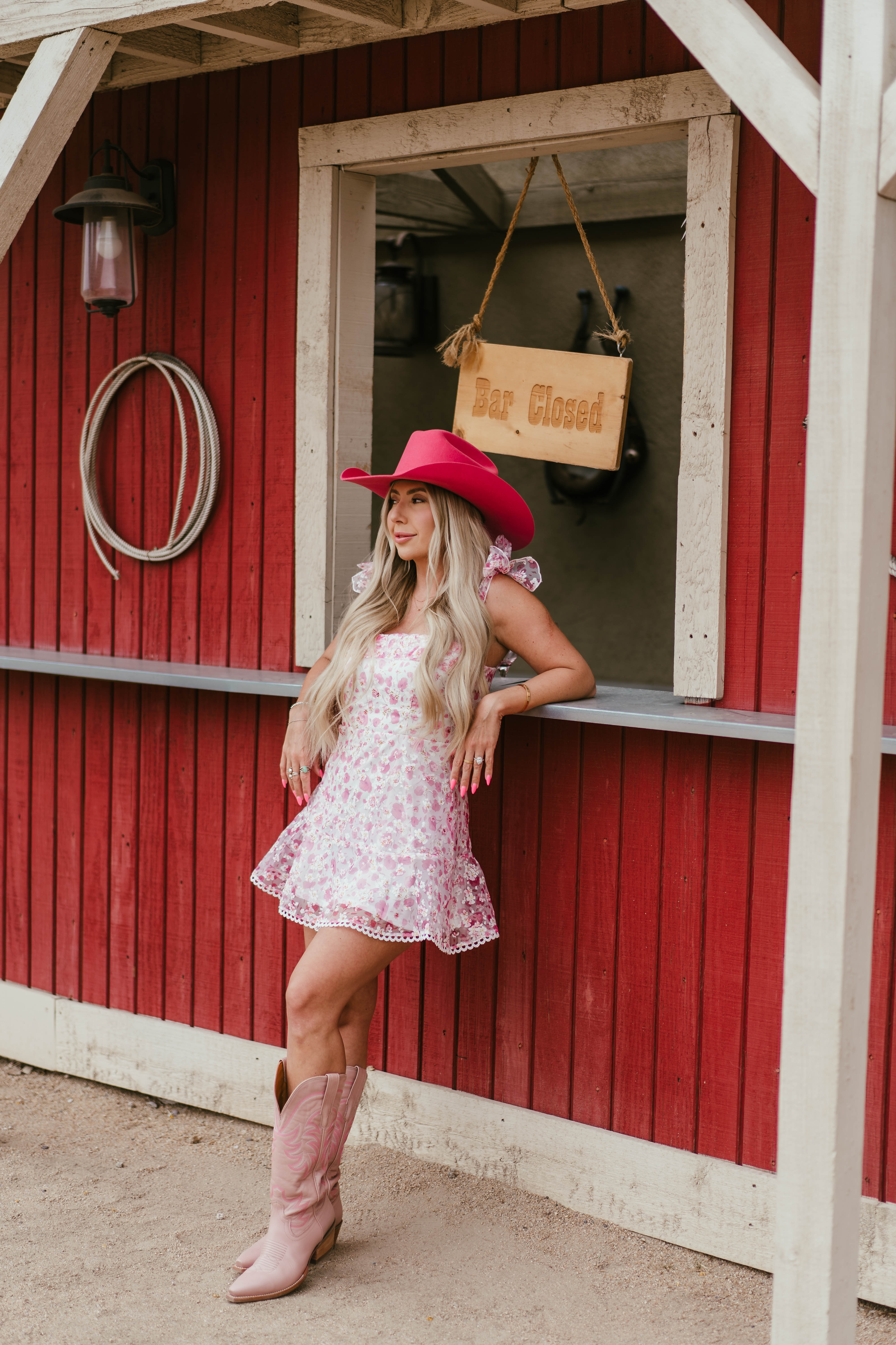 Wild Rose Shimmer Dress