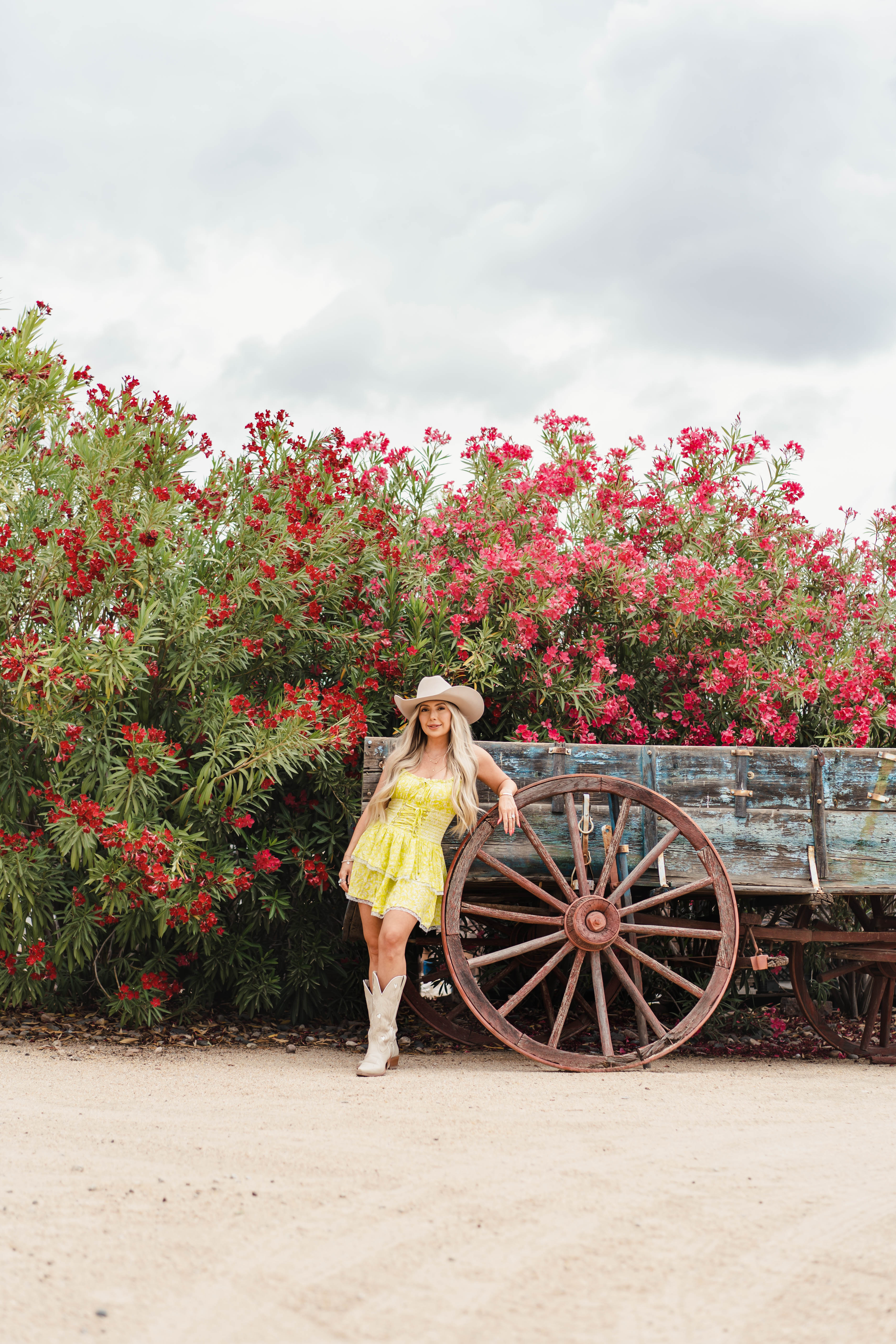 Cactus Lime Corset Dress
