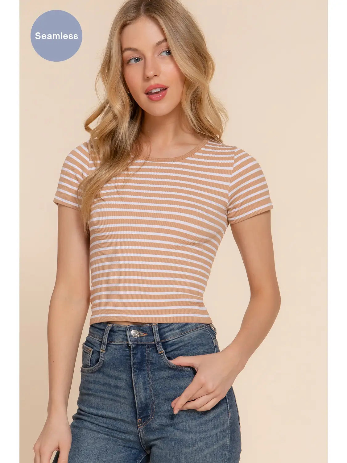 Sagebrush Stripes Cropped Tee