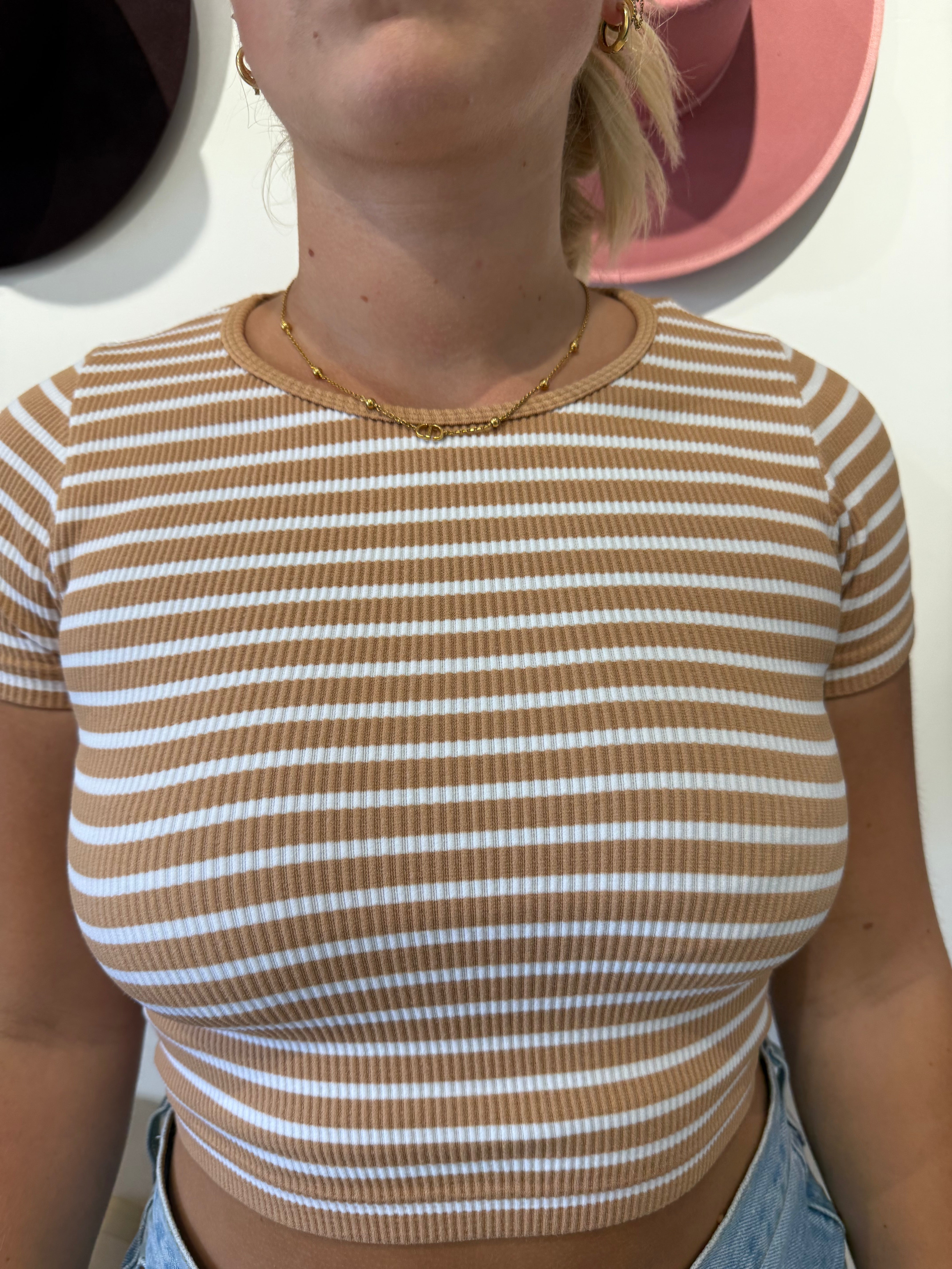 Sagebrush Stripes Cropped Tee